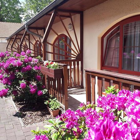 Hotel Fogl Nová Bystřice المظهر الخارجي الصورة